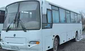 Автобус кавз-423800 "аврора" междугородный