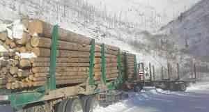 Полуприцеп лесовоз, 45 тонн "cimc" "avic"