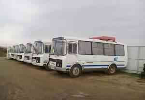Автобусы паз 32054, 32053