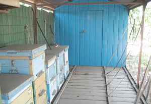Пчеловодный павильон