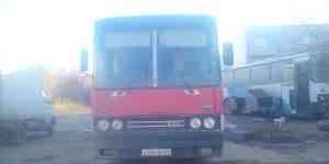 Автобус Икарус - 250