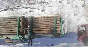 Полуприцеп лесовоз, 45 тонн "cimc" "avic"