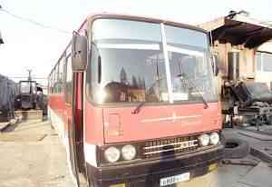 Автобус Икарус 250