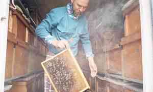 Кассетный павильон для пчел