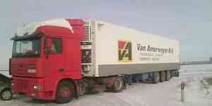  DAF XF 95