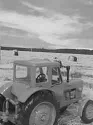 Трактор тмз-50