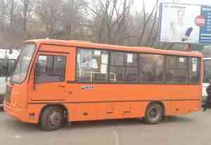  автобусы паз 3204 2013г. 10 штук