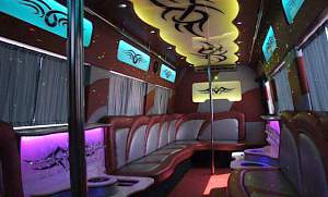  partybus 