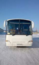 Автобус паз 4230-01 (аврора)